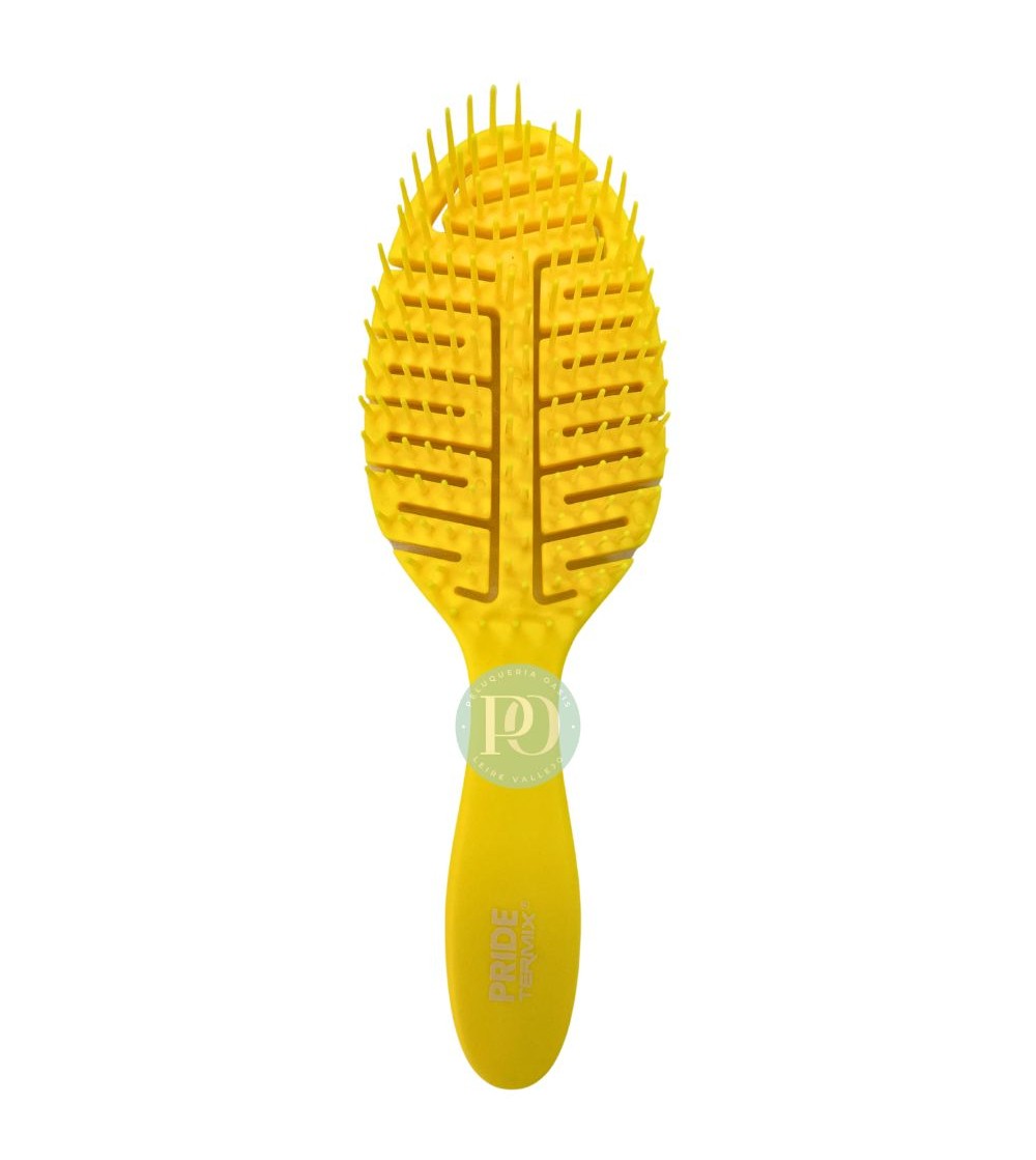 Cepillo Detangling Pride Termix